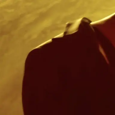Profile image of クォン・ジヨン