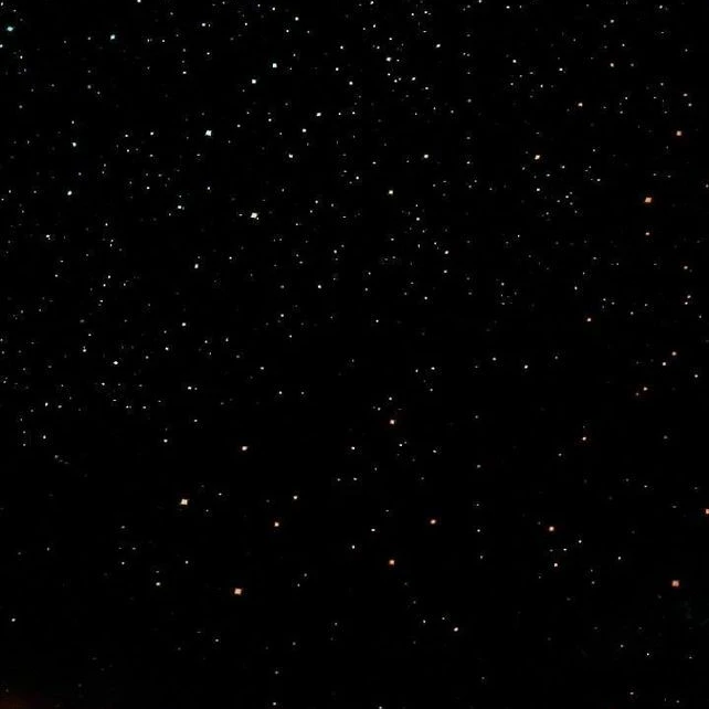 후지나가 사쿠야