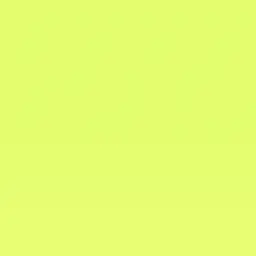 Profile image of 伊波ライ