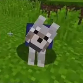 Profile image of Tom