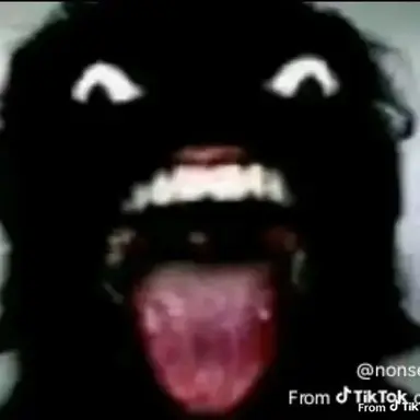 Profile image of 카밀라