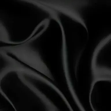 Profile image of ハン