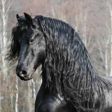 Profile image of 알렉