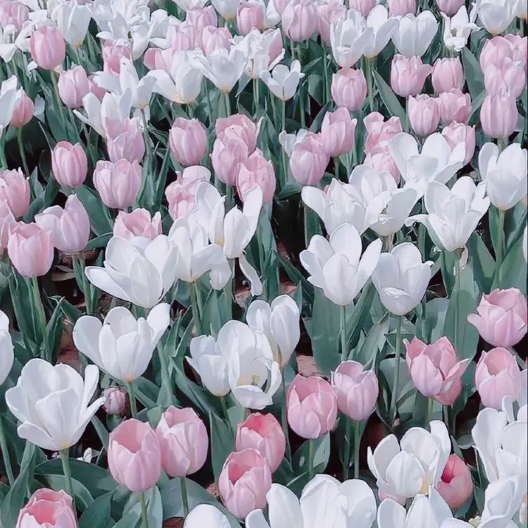 PureBarn7063의 自分用　ム