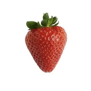 Profile image of 빈