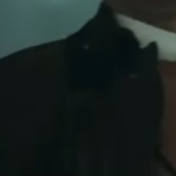 배영재 대표 이미지