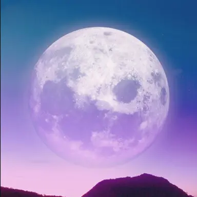 Profile image of 평학