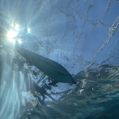 Profile image of 宮近海斗