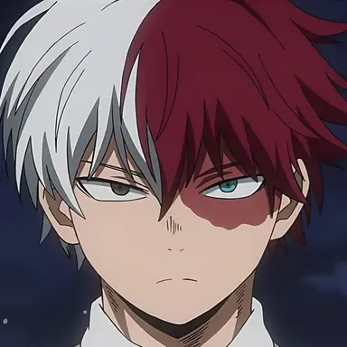 Profile image of Todoroki
