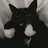 ㅂㅌ