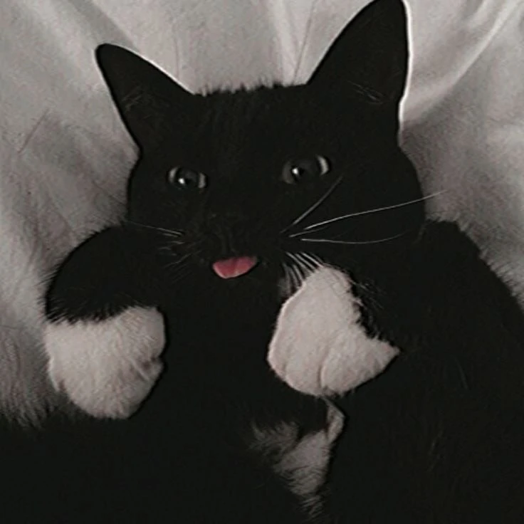 ㅂㅌ