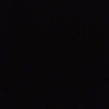 Profile image of 박 성 호