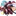 エッチが好き