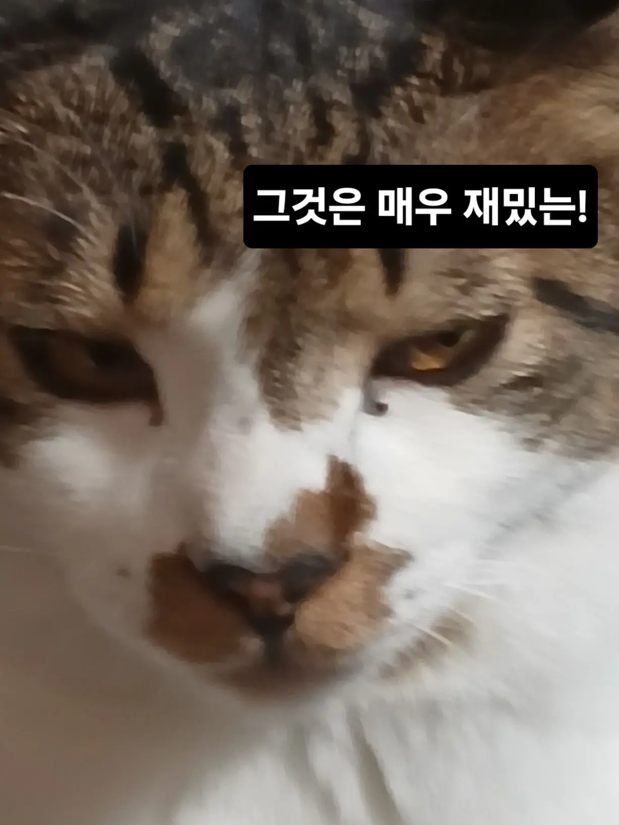 PuristPoco0133의 포세이큰이랑 수학여행!