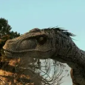 Profile image of Velociraptor