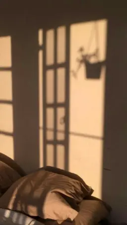 Profile image of 모카
