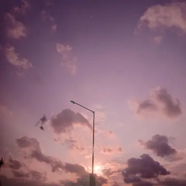 Profile image of 정하현