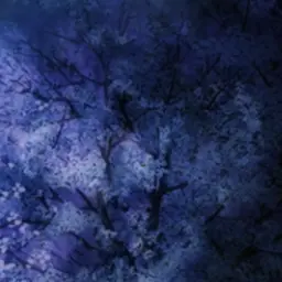 Profile image of 教官