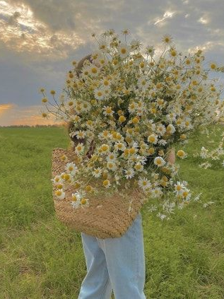 미스터리 수사반 무도회[+여우] 대표 이미지