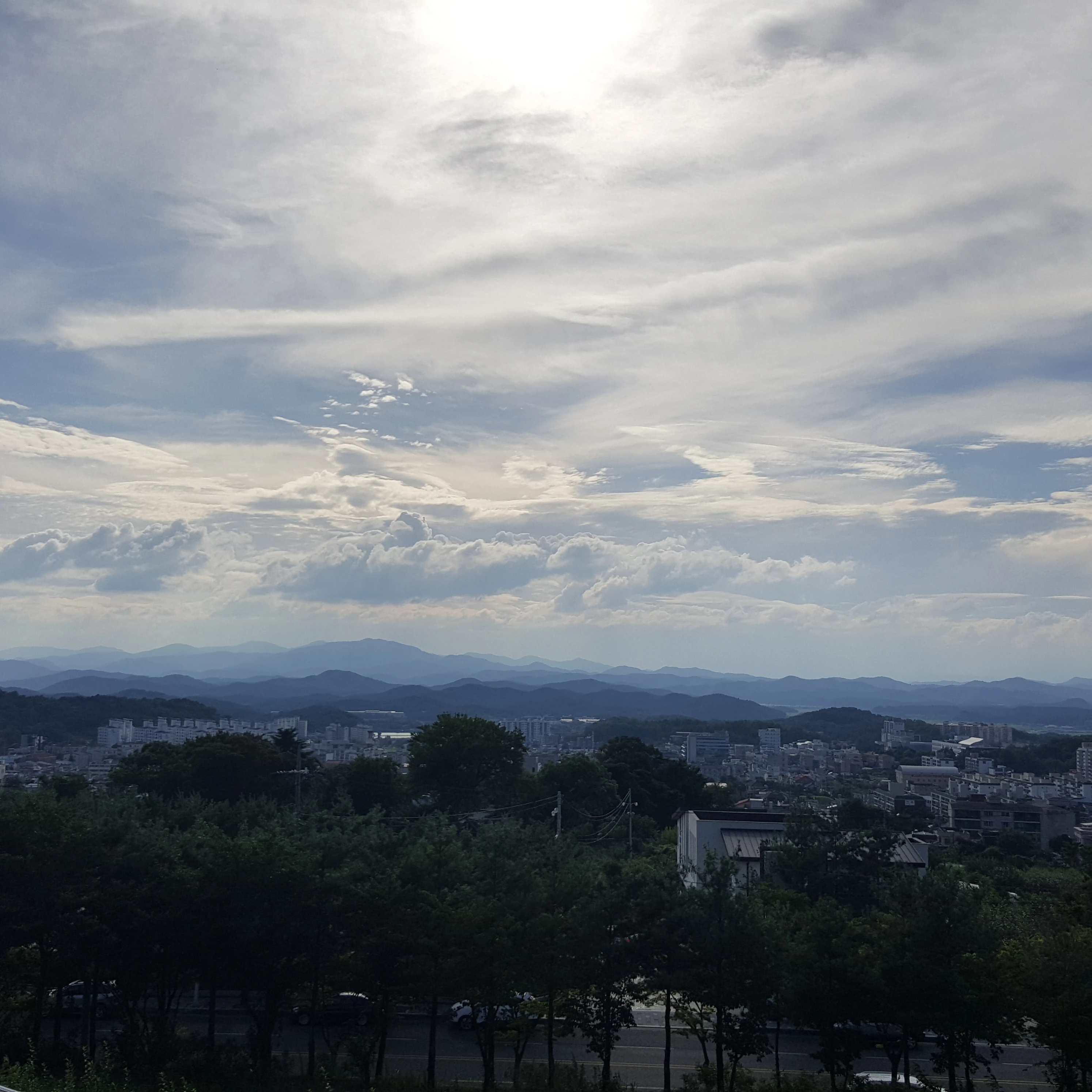 나른한 패밀리