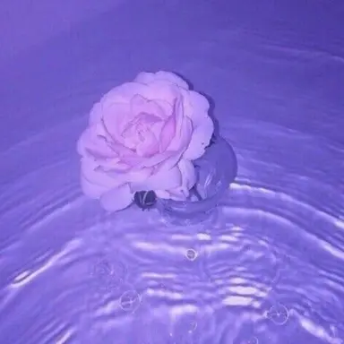 Profile image of ㄴ