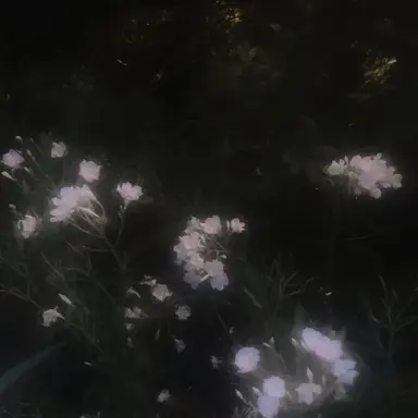 Profile image of 山田 利吉