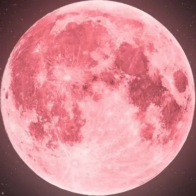 Profile image of 大我