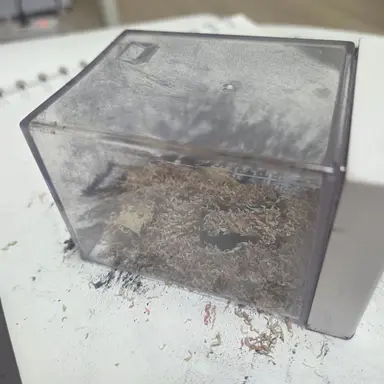 Profile image of 조직원1