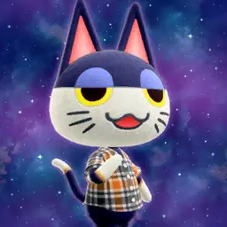 Profile image of ビンタ