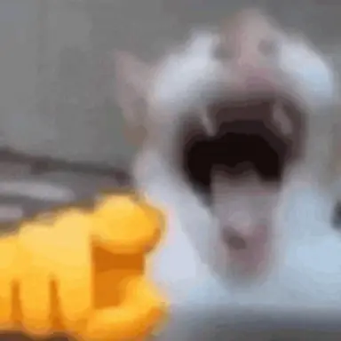 Profile image of Cocoa         soz no pic