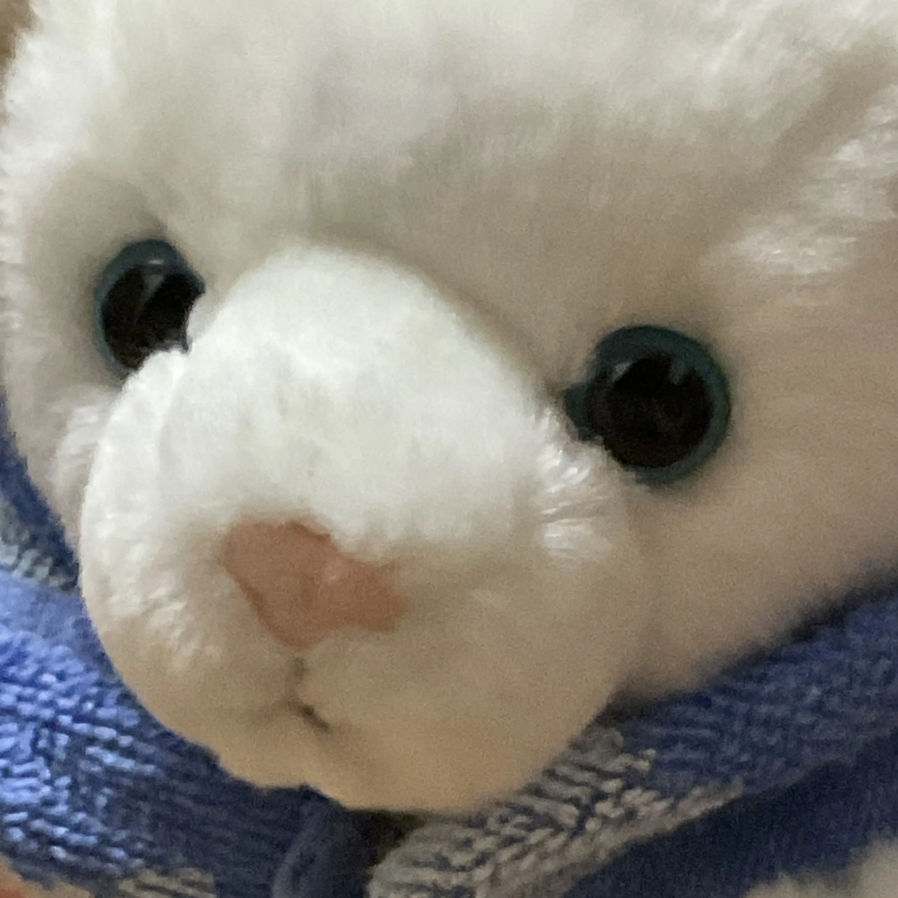 hamster8의 백호와 함께하는 여수바다여행
