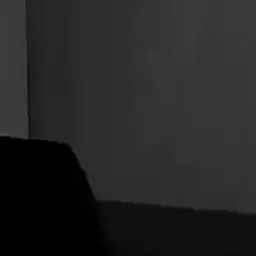 gorihsf의 구교환