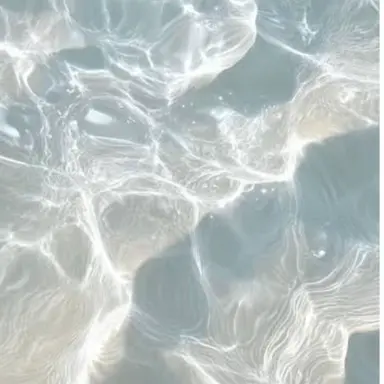 Profile image of 樹音