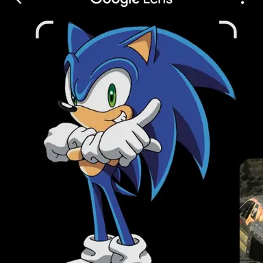 Profile image of Sonic