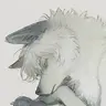Profile image of Chiro (Fox)