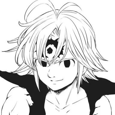 Profile image of メリオダス