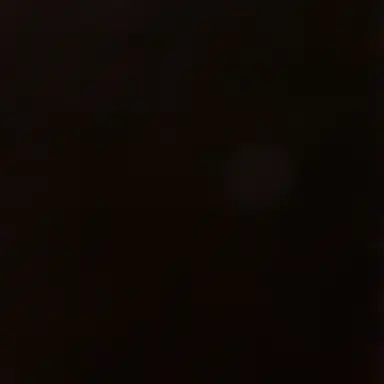 Profile image of 늑대