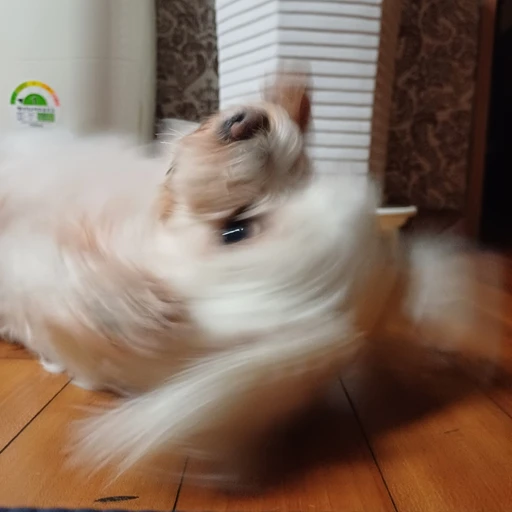쿨민트