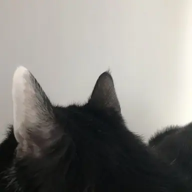 Profile image of ドヨン