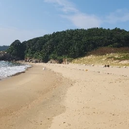 표류기