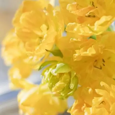 Profile image of 김각별