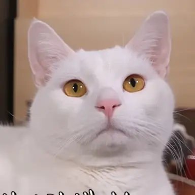 Profile image of 우유