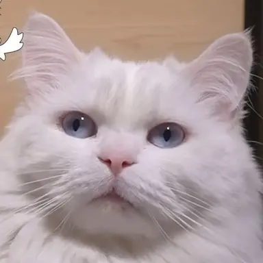 Profile image of 크림