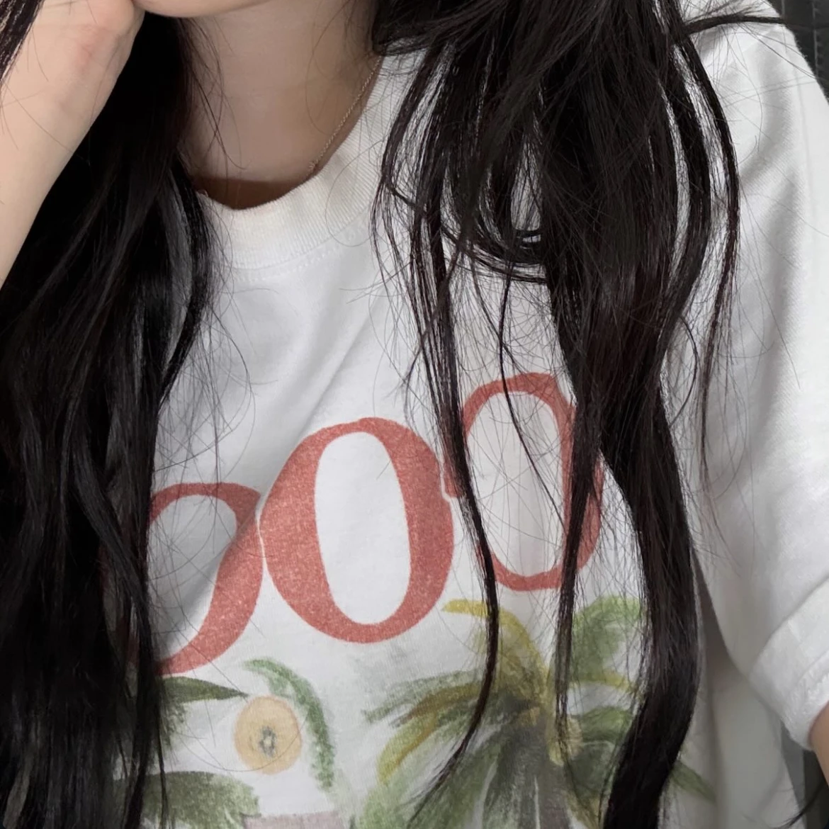 백지헌