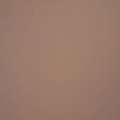 Profile image of 양정인