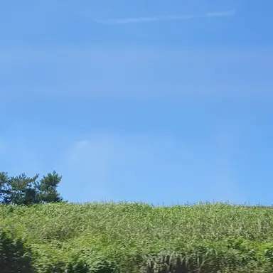 Profile image of 아이브