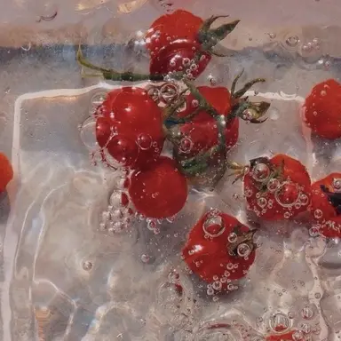 Profile image of 서한솔