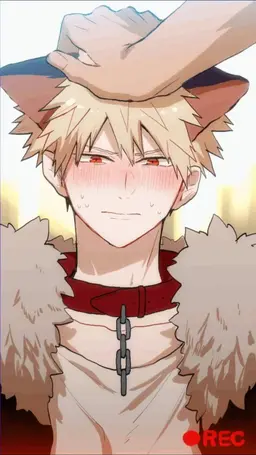 Profile image of Bakugo