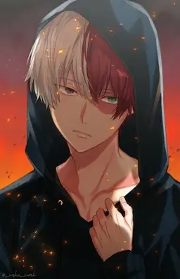 Profile image of Todoroki