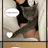 선넘지마 고양이